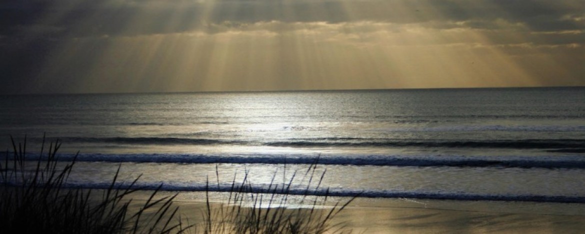 Dunes at Dawn - CCC Walking Festival event  banner